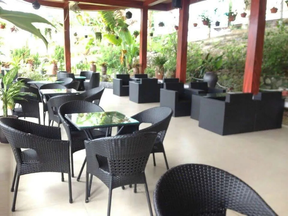 DỰ ÁN COFEE TẠI ĐẢO CÁT BÀ