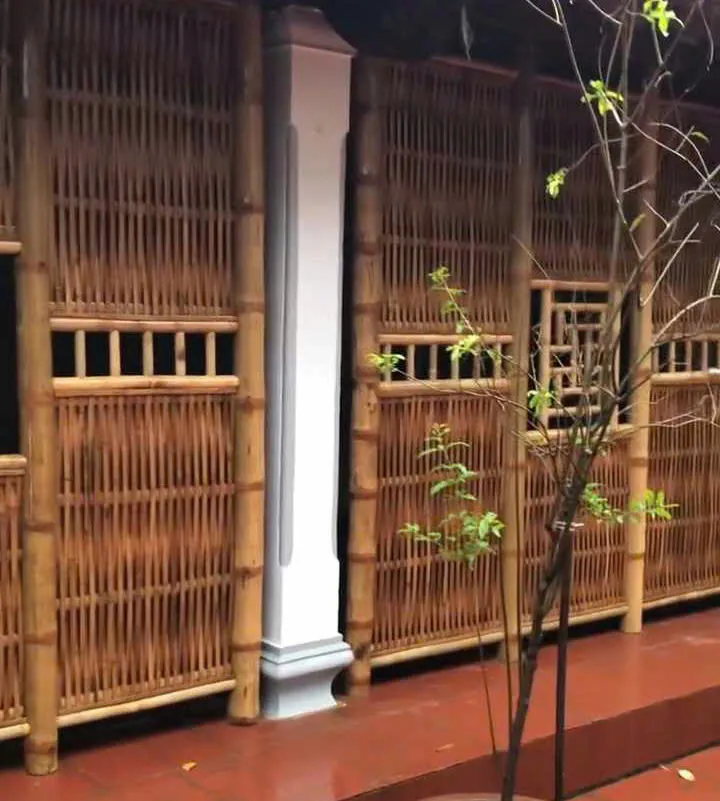 Dại tre nhà cổ DT090